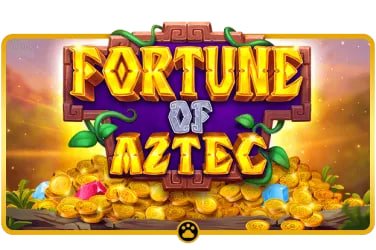 বাংলাদেশি খেলোয়াড় মোবাইলে betongame লাকি পিগি স্লটস গেম খেলছেন